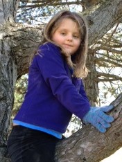 My tree climber